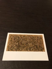 UNPOSTED  ART 4 X 6 POSTCARD -  JACKSON POLLOCK - ONE: NUMBER 31