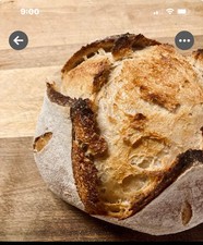 Sourdough Starter Verified Live San Francisco 236yo TOP SELLER 