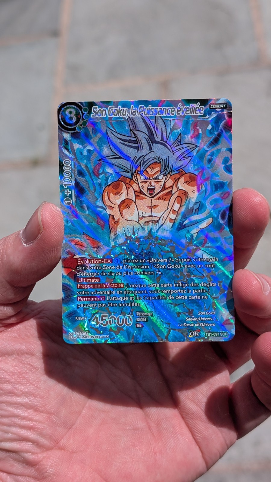 Son Goku, El Poder Despertado - Torneo de Poder - Francés - Dragon Ball