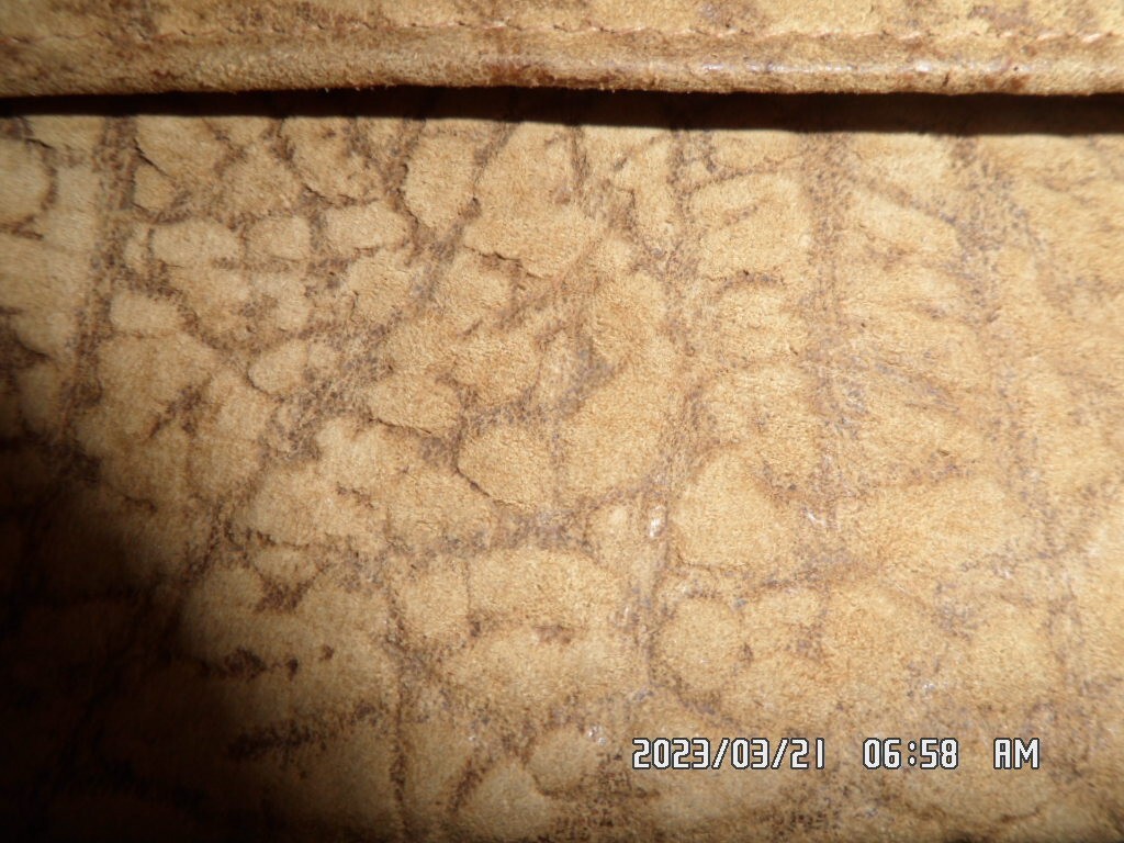 Picture 14 of 15