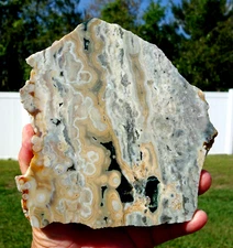 OCEAN JASPER Freeform Polished Crystal Slice Great Orbicular Pattern For Sale