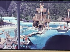 Vintage 1977 35mm Film Slide Sea World