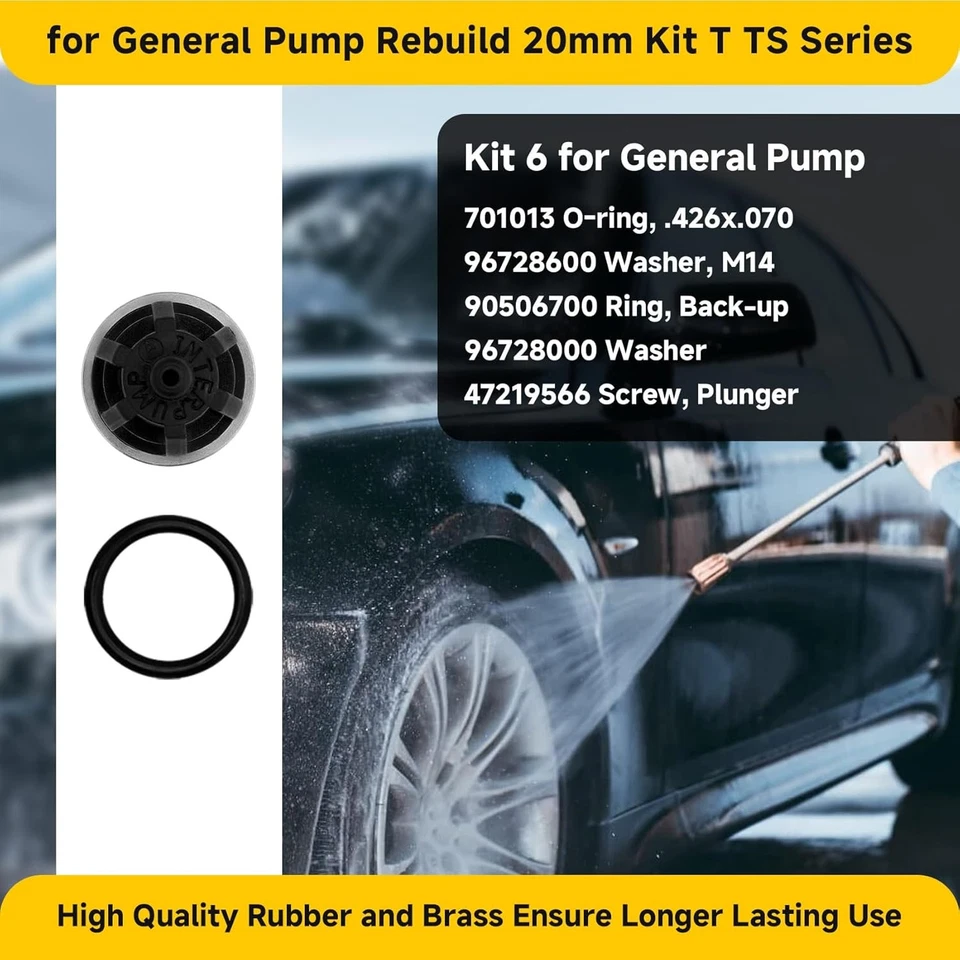 for General Pump Rebuild kit, Compatible with T/TS Series T1011... - Image 4 of 4