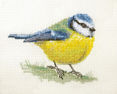 BLUE TIT Garden Bird  Full counted cross stitch kit with all materials Fido
