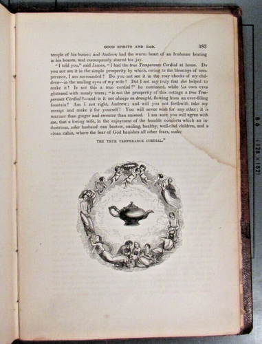 Sketches of Irish Character Mrs S C Hall 1846 - Picture 9 of 11