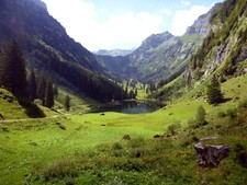 Digital Photo/Picture/Wallpaper/ART --- Nature and Valley Switzerland Swiss Alps