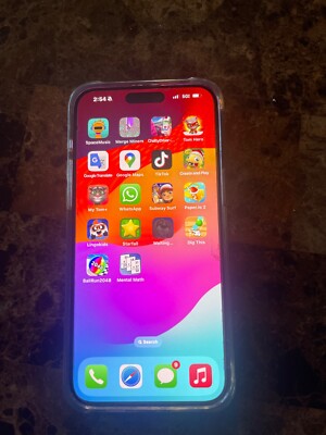 Apple iPhone 15 Pro Max - 256 GB - Black (Unlocked) tik tok apps on it