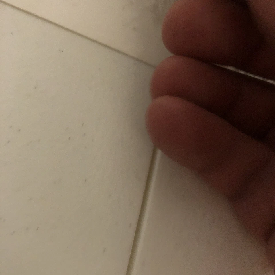 GANZ WEBKINZ 2006 Googles Duck Billed Platypus Stuffed Animal Plush Code HM021 - Image 4 of 4