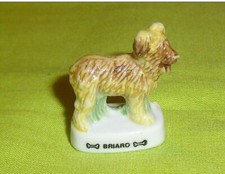 Bean - Dog: The Briard (4284)