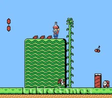 Super Mario Brothers 2 Rare NES Nintendo Game Bros II