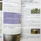 Bild 6 von 12