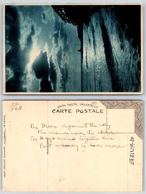Japan TREES AGAINST THE SKY WAVES UPON THE SHORE Vintage Postcard f110