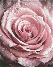 Needlework Crafts Full Embroidery Counted Cross Stitch Kits - The dew Rose