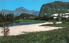 Logan Pass Glacier Park Montana MT Botanica Fauna Meadows Scenic Vtg Postcard F6