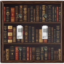 Metal Light Switch Outlet Cover Wall Plate Antique Books Bookshelf Decor RAC125