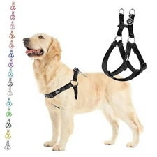  No Pull Dog Harness Soft Adjustable Basic Nylon Step in Puppy Vest Large Black