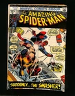 Amazing Spider-Man #116 Smasher Appearance! Stan Lee! Marvel 1973