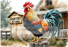 Decoupage Central, Rice Paper, Decoupage, Rooster, Colorful, Country, DC732, Mix