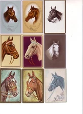 Lot of 9 Vintage Horse --  Swap Playing Cards No 9