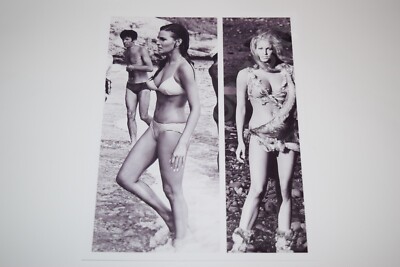 Raquel Welch pinup 8x10 glossy photo One Million Years B.C. busty sexy 0778