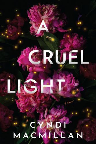 A Cruel Light: A Novel by Cyndi Macmillan HARDBACK 9781639103256 - Image 5