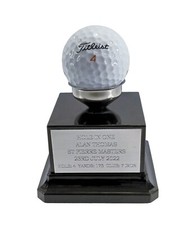 Personalised Hole in One Golf Ball Display Stand Trophy Award Any Text Engraved