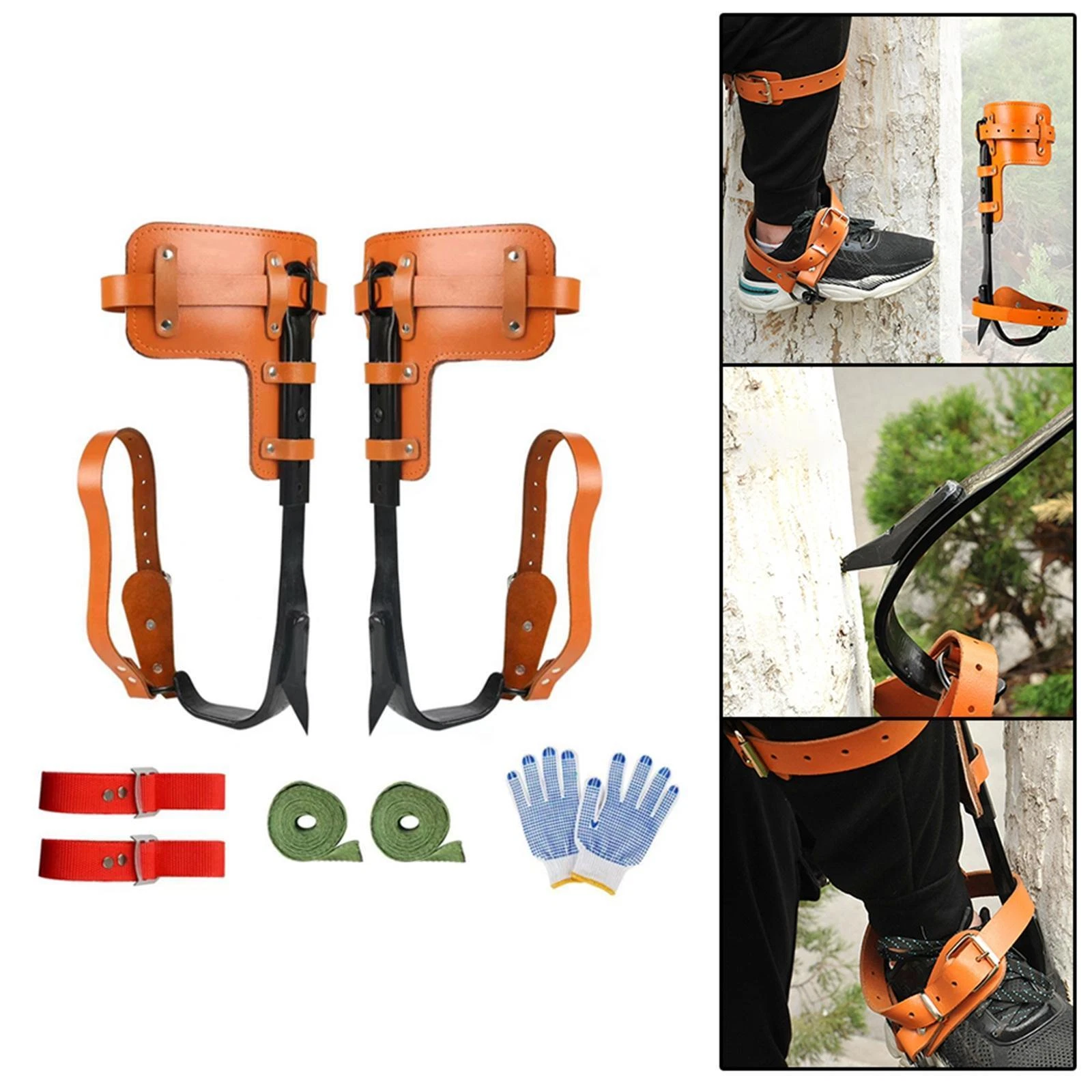 Tree Climbing with Gloves Outdoor Camping Tree Work for Picking Fruits
Opens in a new window or tab