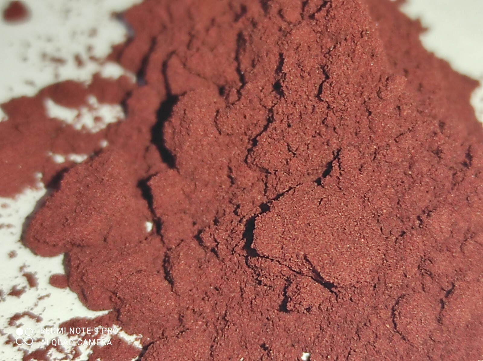 astaxantina 10 grammi pura Astaxanthin discus caridine acquario canarini Uccell foto 2
