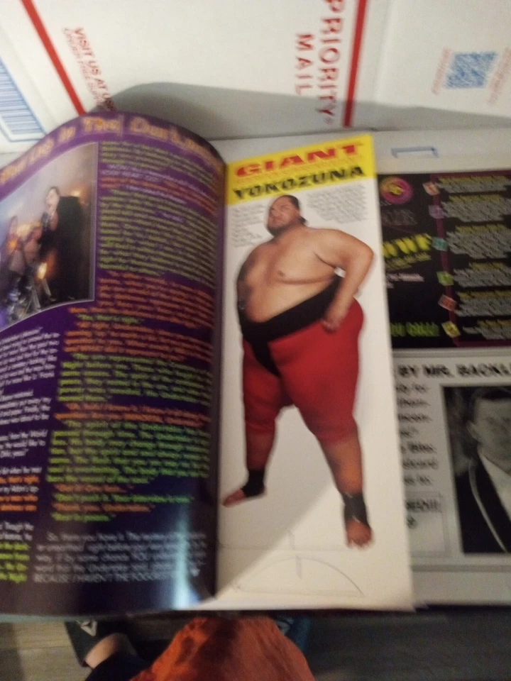 WWF Magazine 1995 Undertaker Iconic Cover W/ Poster Cutout & Cards Rare Cb 49 Foto 3 de 3