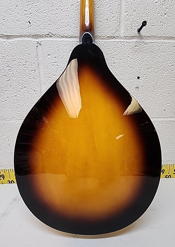 Mint Condition Johnson Oval Hole Mandolin MA100 with Hard Case (SR) eBay