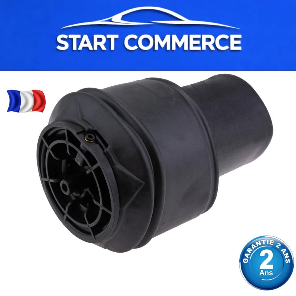 Amortisseur pneumatique 5102GP pour utilitaires Jumpy, Expert et Scudo