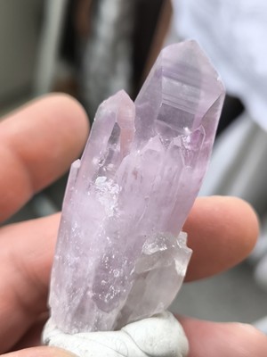Amethyst Zwilling Chala Mine Bulgarien Kristalle um die 6-7cm Top!!!