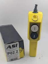 2 Button Pistol Grip Pendant Station Up/Down Arrows ASI P02.1 500v 4 NO Contacts