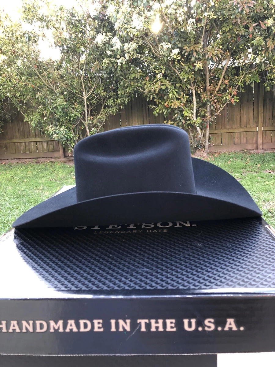 Stetson 200x hotsell