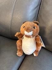 Webkinz Red Squirrel HM404. New with sealed code. Retired!