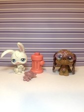 Littlest Pet Shop #1358 Brown Post Card Bassett Hound And Bunny #49