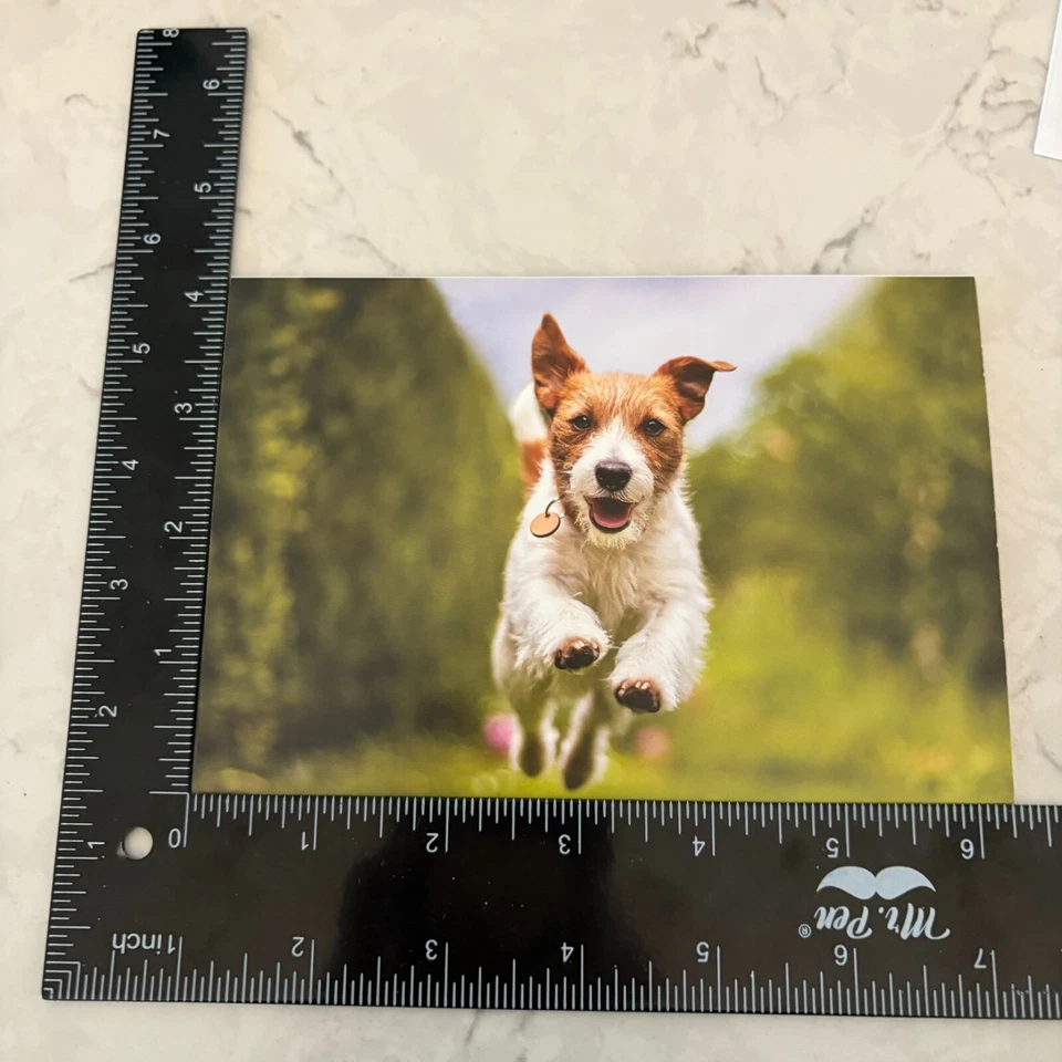 Tarjeta en blanco con sobre mensaje de amigos y familiares para perros corriendo Foto 4 de 4