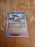 Pokemon Card Single Tepig Friend Ball Ascended Heroes 029/217 Reverse Holo A239