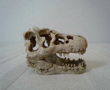 Resin 3.1" small aquarium ornament T-REX DINOSAUR SKULL cave figurine fish tank