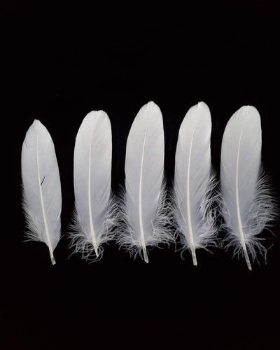 100PCS 6-8 Inch Natural Goose Feathers for Crafts, DIY, Dream Catchers, Party De