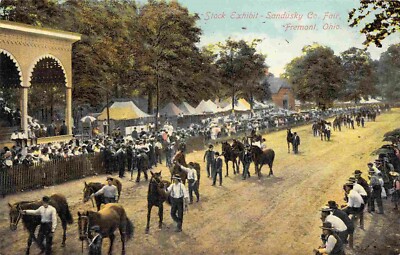 Horse Parade Stock Exhibit Sandusky County Fair Fremont Ohio 1910c postcard