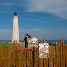 Funny Flowers Birds Metal Sign, Metal Country Rustic Tin Sign, Plant a Garden...