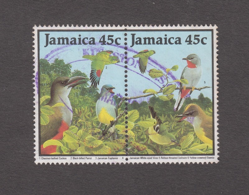 JAMAICA 1988. Birds. Cuckoo. Parrot. Euphonia. Vireo. Solitaire. Elaenia Sc 680a