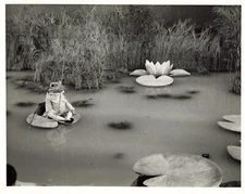 The Tales of Beatrix Potter 1971 Movie Photo Anthropomorphic Frog 8x10  *P57c