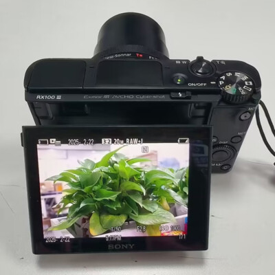 Sony DSC-RX100M3 RX100 III 20.2MP 2.9x Compact Digital Camera
