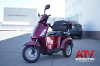Alpha M310 Series Electric Scooter/Reverse Camera Available!