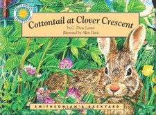Cottontail at Clover Crescent (Smithsonian's Backyard)