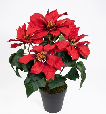 Weihnachtsstern im Topf 36cm rot PF künstliche Poinsettie Kunstblumen Blumen