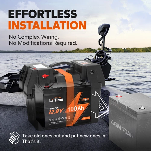 LiTime 12V 100Ah Group 24 LiFePO4 Lithium Battery Built-In 100A BMS 1280Wh