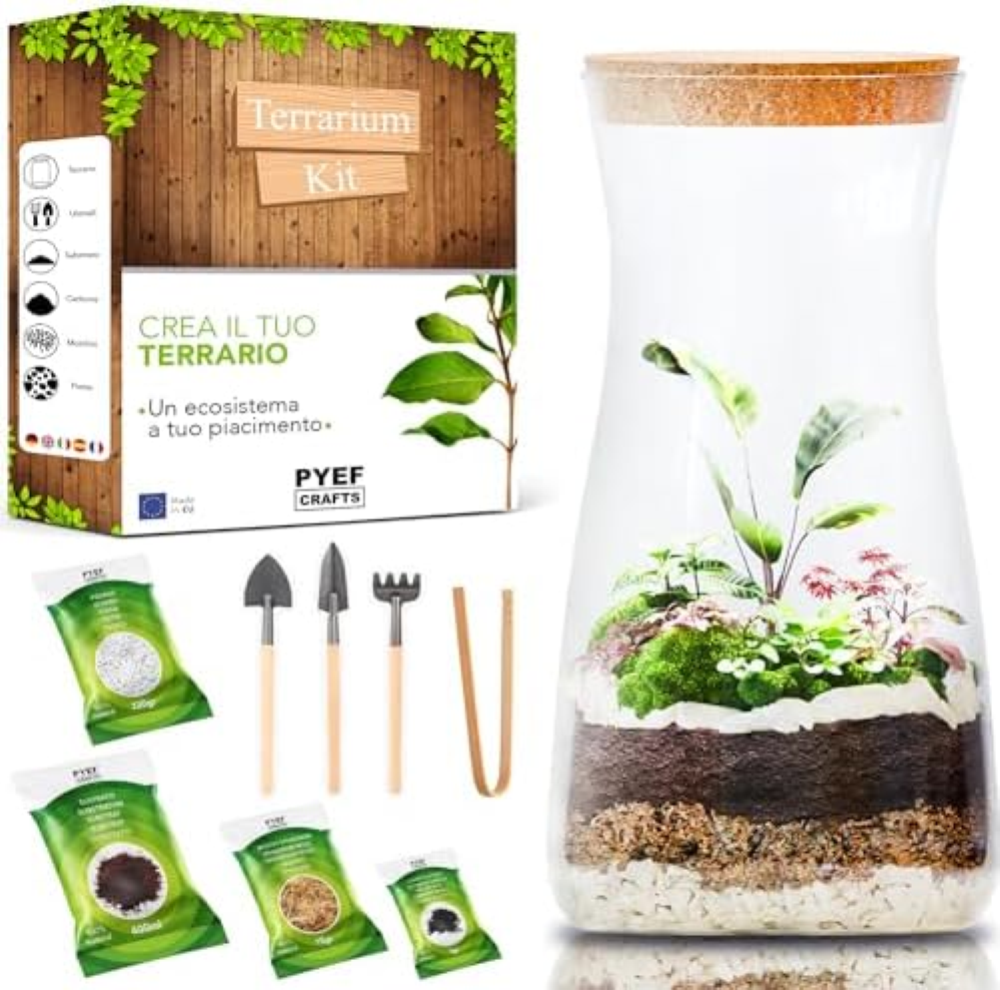 Terrarium Kit DIY per un Ecosistema Autosufficiente - Terrarium Vetro con Piante